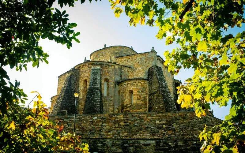 A cathedral framed by tree branches