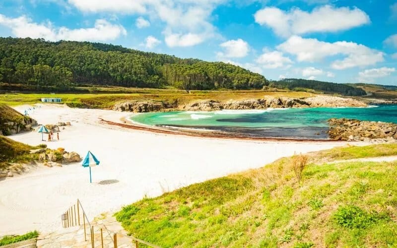 A beautiful beach surrounded by woods
