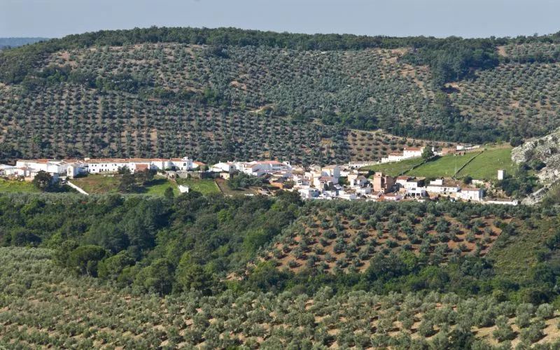 A village in a green valley