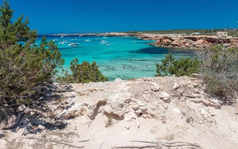A lookout view of the blue sea
