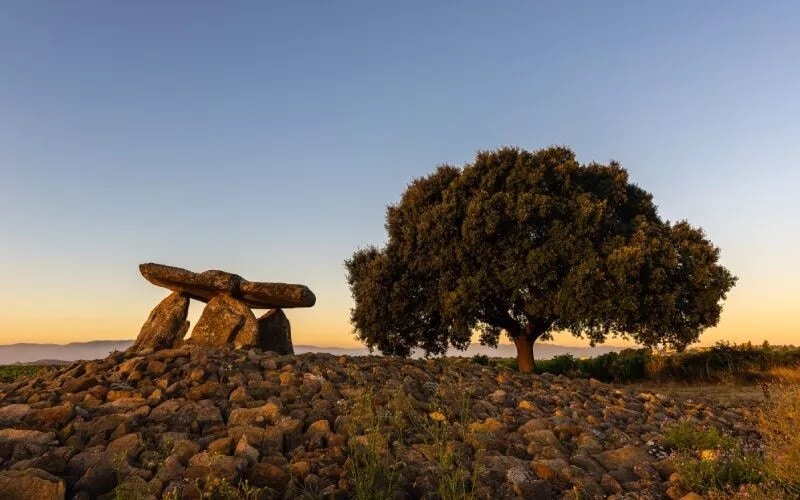 A dolmen and a tree