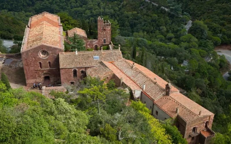 A view from above of a monastery surrounded by trees