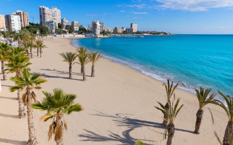 A view from above displaying a beautiful beach with palm trees