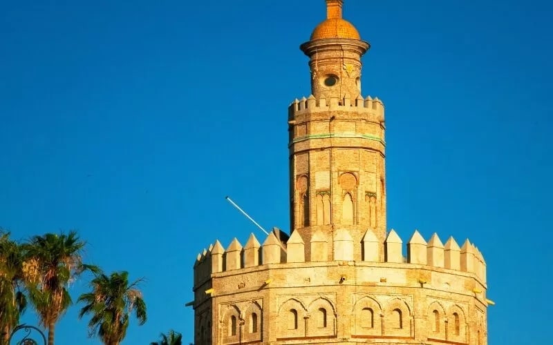 A tower and some palm trees