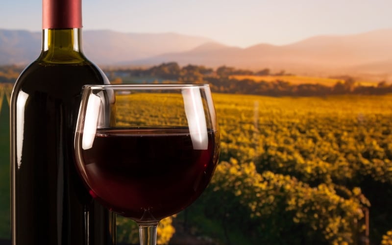A glass of wine and a bottle in a vineyard