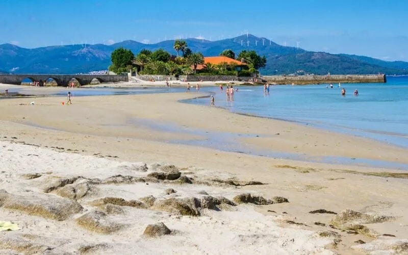 A golden beach with palm trees and mountains in the back