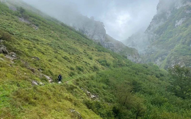 A path crossing a mountain and some mist in the background
