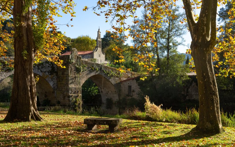 A bridge surrounded by trees and nature and a church in the background 