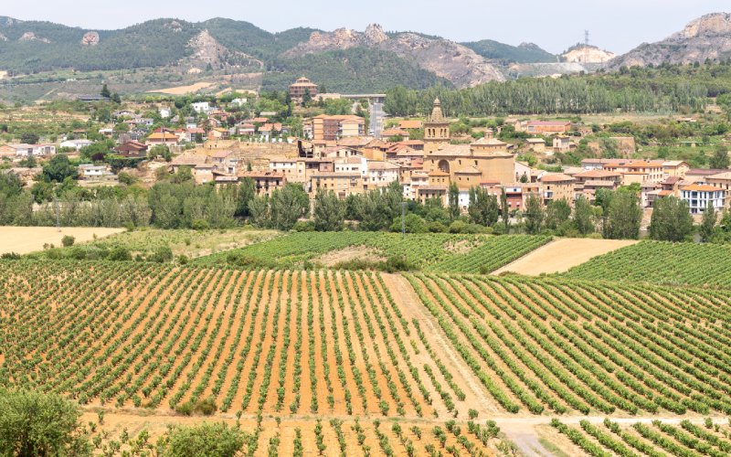 A village sitting among vineyards
