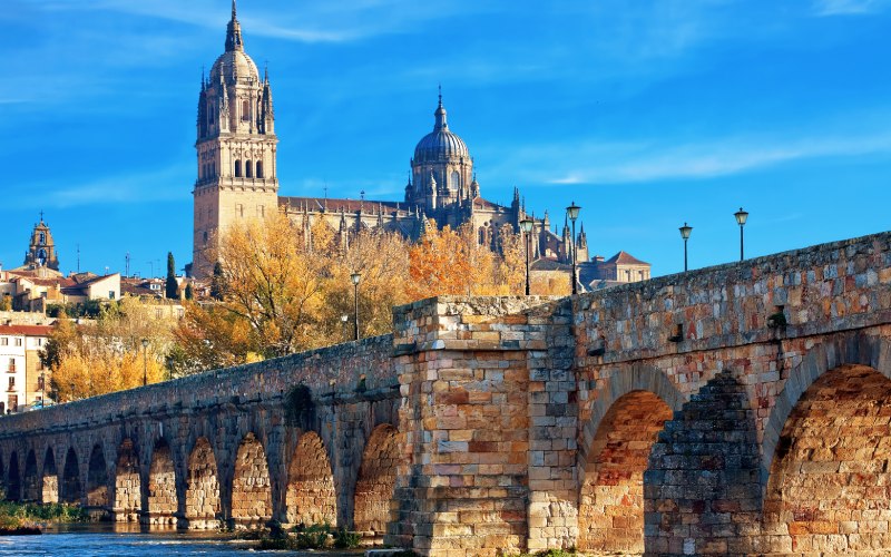 A stone bridge and a cathedral in the back of the picture