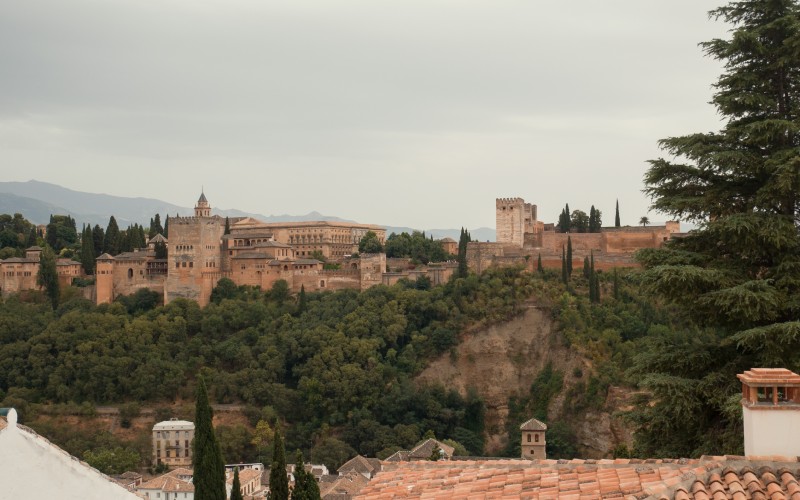 Trees on a cliff and old buildings on top