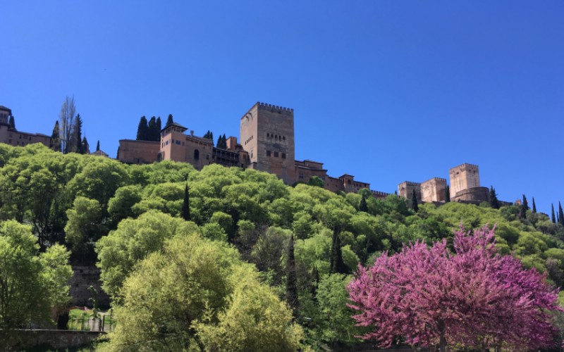 A cliff with trees and the tower of a fortress on top