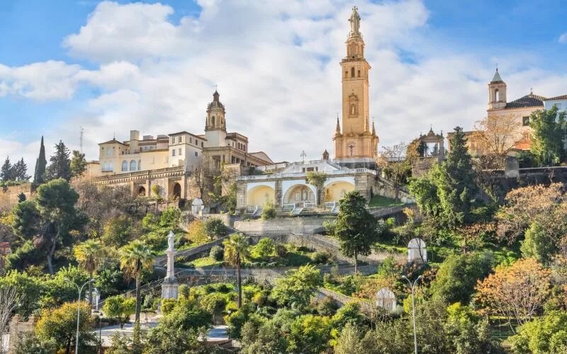 A hill with trees and some buildings on top