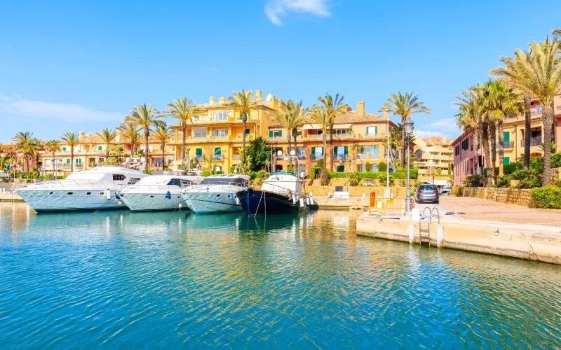 A port with some boats and palm trees