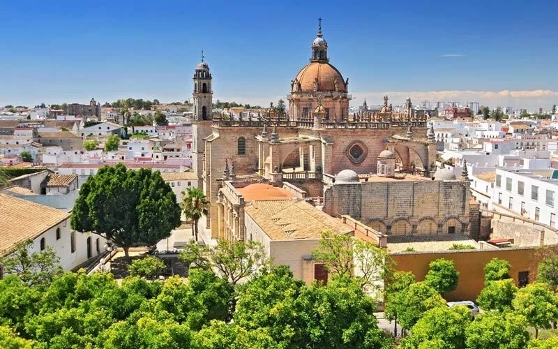 A panoramic view of a large church and a city with trees on front