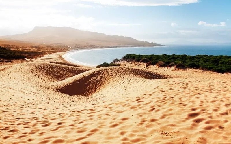 Golden dunes and a beach in the background