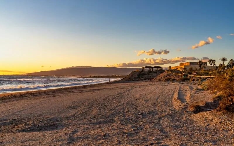 A beach with the sea on the left and some dunes and palm trees on the right
