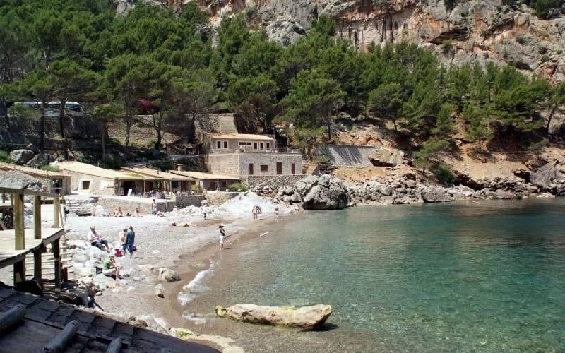 A cove with a beach surrounded by rocks and trees