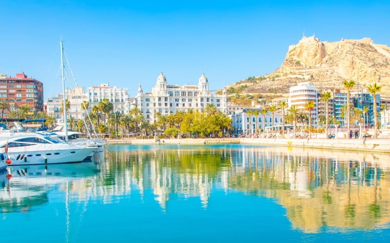 A harbour with ships, palm trees and white buildings