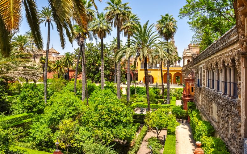 Gardens with palm trees in a courtyard