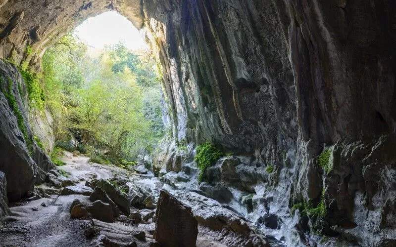 A cave from inside and trees outside