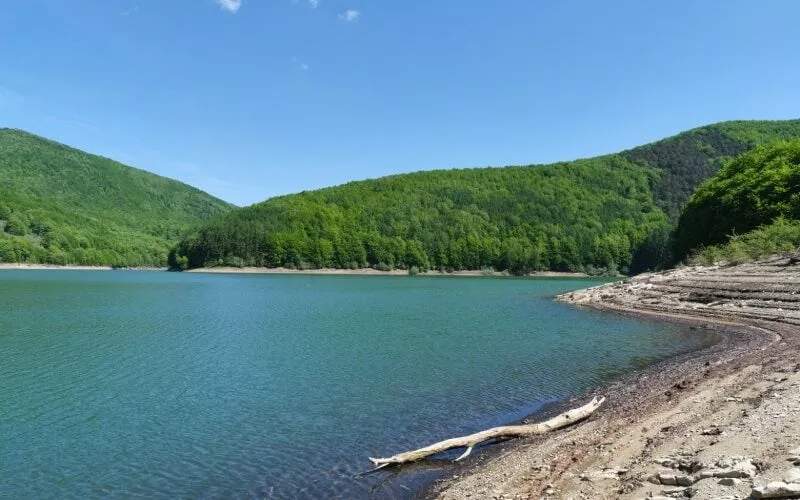 A lake surrounded by woods