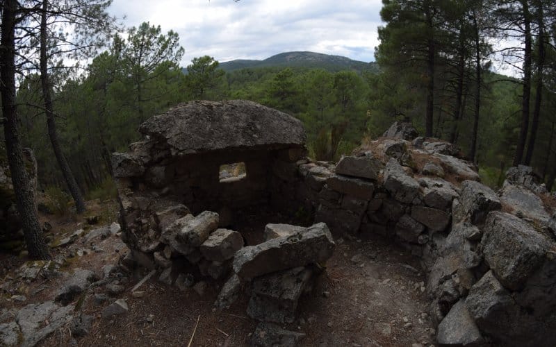 Stone ruins in the middle of the forest