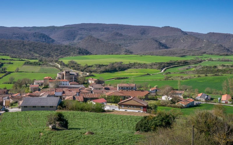A village in a green field