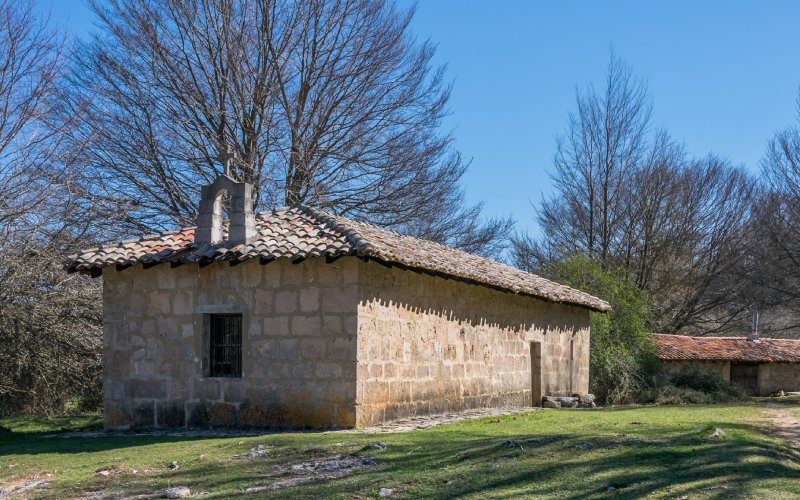 A chapel and some trees