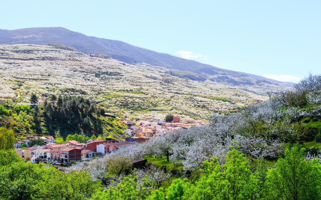 Jerte valley