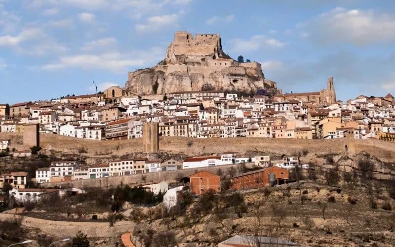 Morella