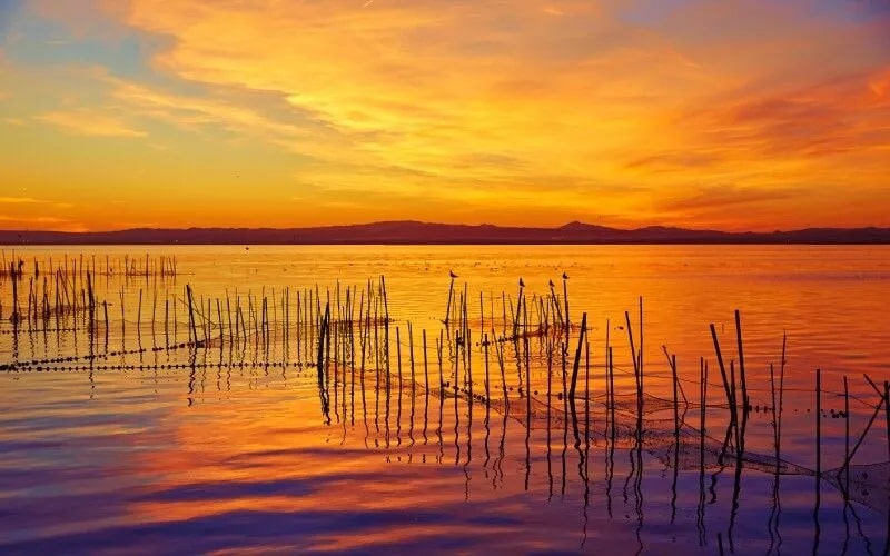 Sunset in La Albufera of Valencia