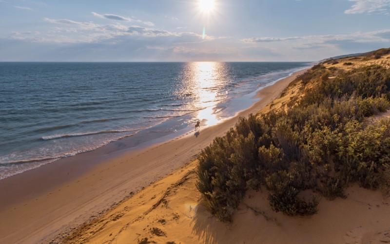 Matalascañas beach