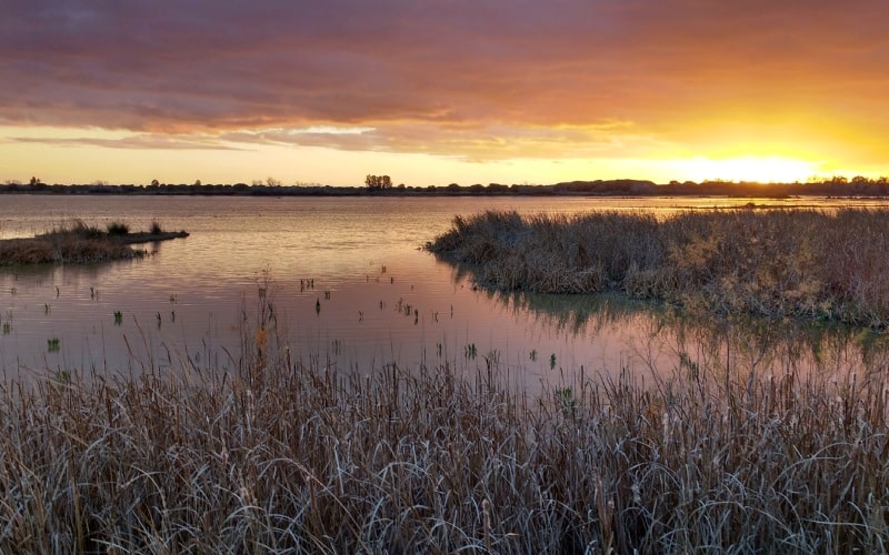 Doñana National Park