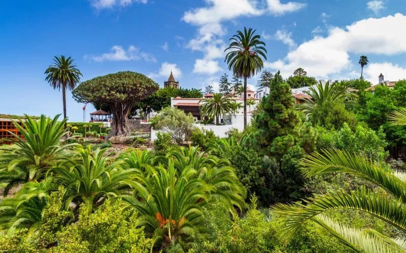 Icod de los Vinos, one of the best places to visit in Spain in 2023