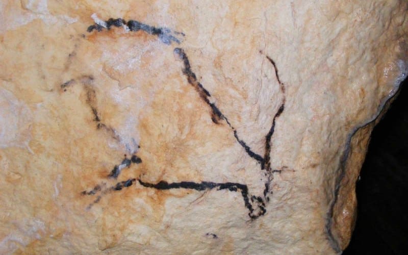 Goat from the Nerja caves