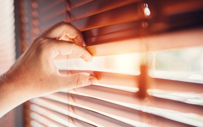 Fun fact about Spain, every house and every hotel room has blinds