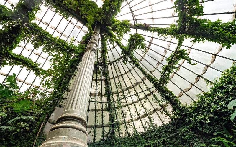 A greenhouse at the Real Jardín Botánico