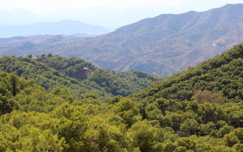 The Andalusian mountains of Montes de Málaga