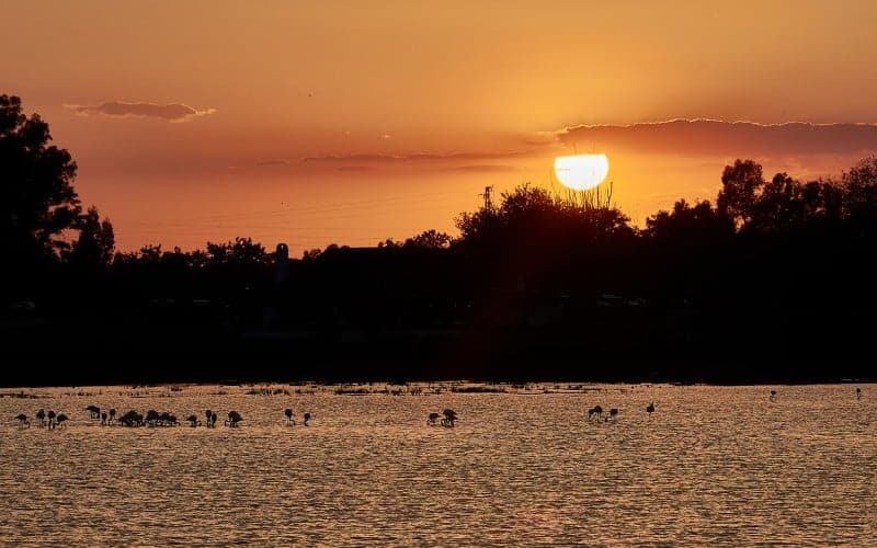 Sunset at the Doñana National Park