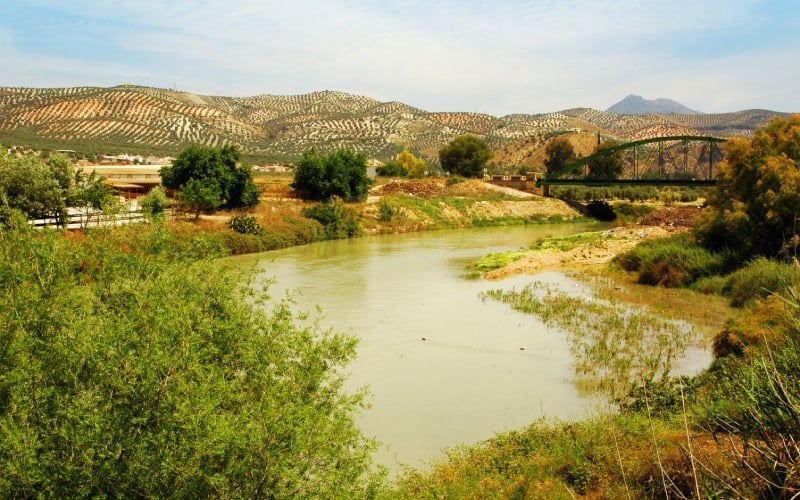 River Genil