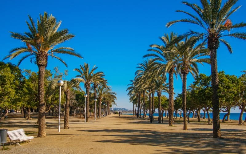 Beach of Mataró