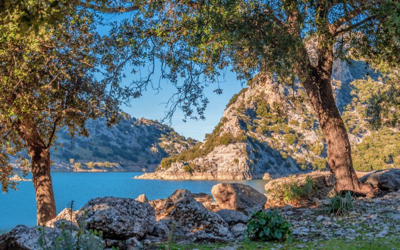 Gorg Blau in Mallorca