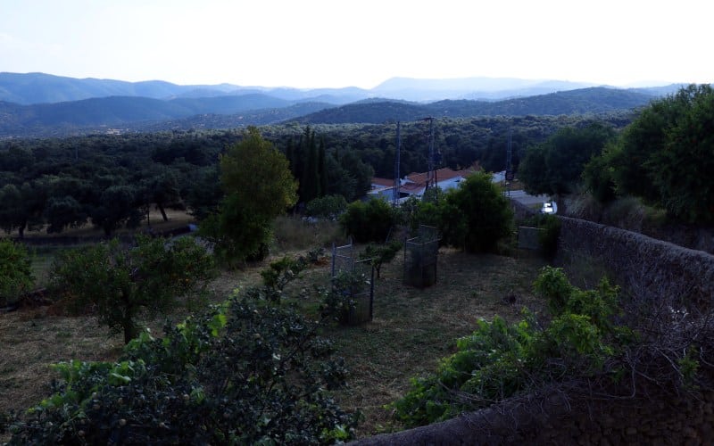 Surroundings of Cañaveral de León
