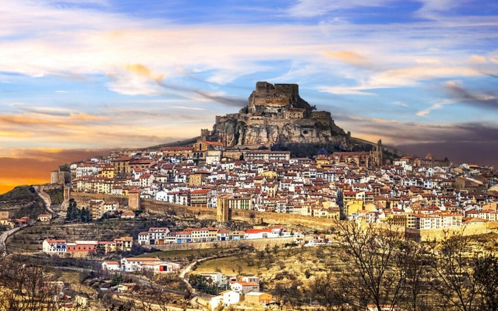 Morella