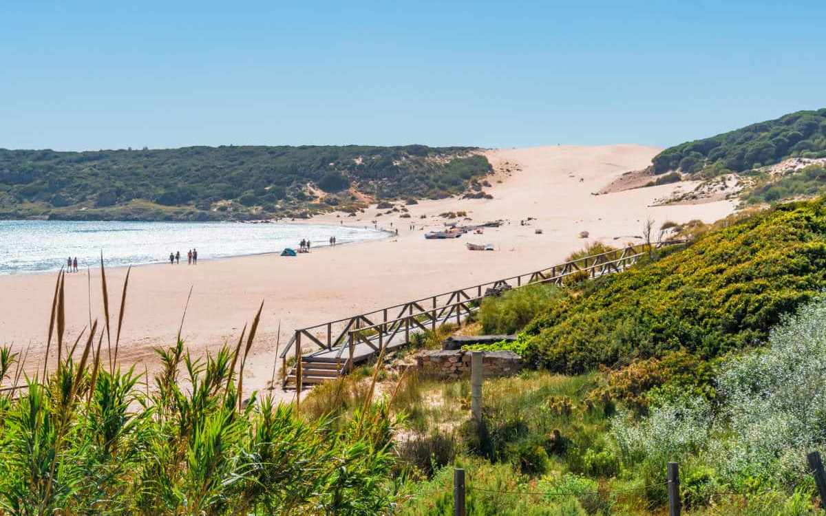 Dune at Bolonia beach