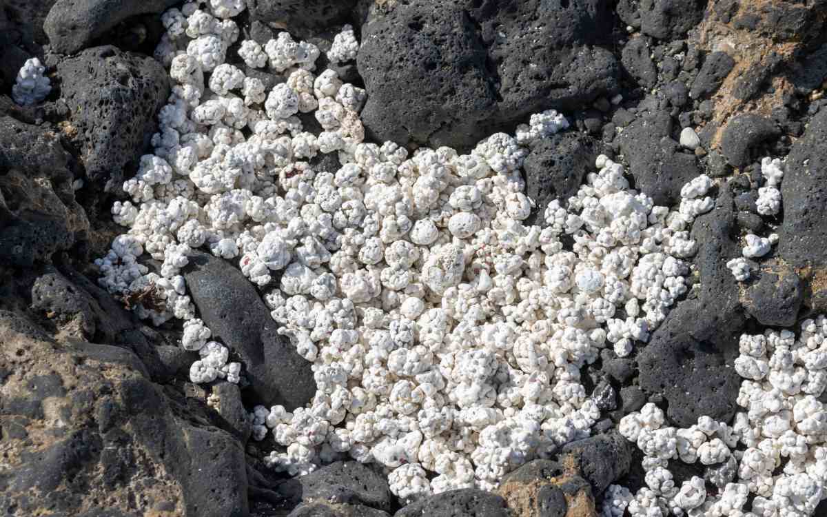 'Popcorn' beach.