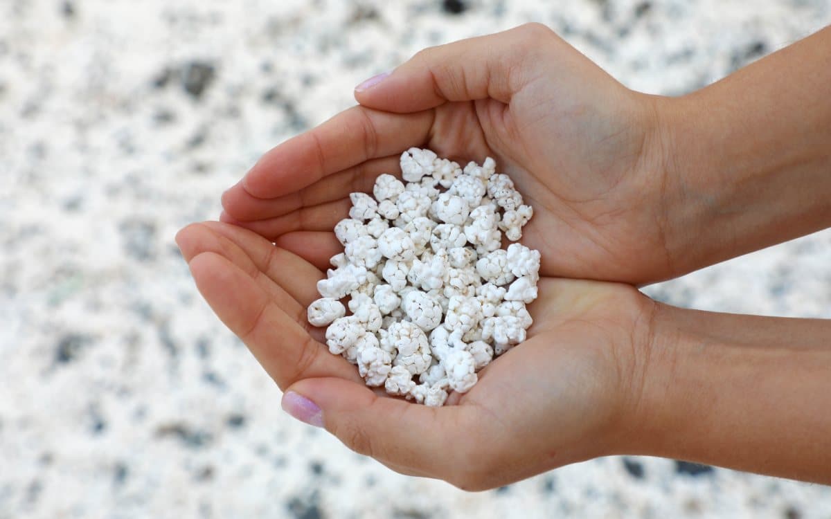 The so-called 'popcorn'.