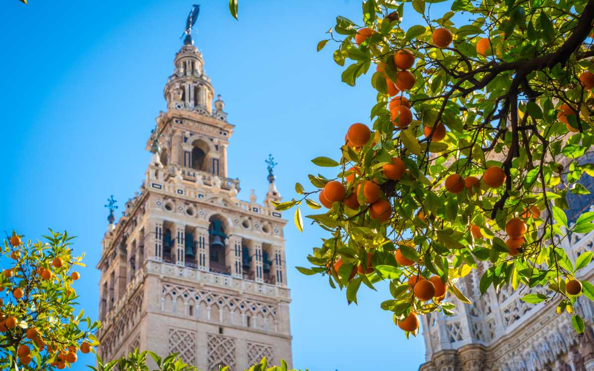 Giralda.