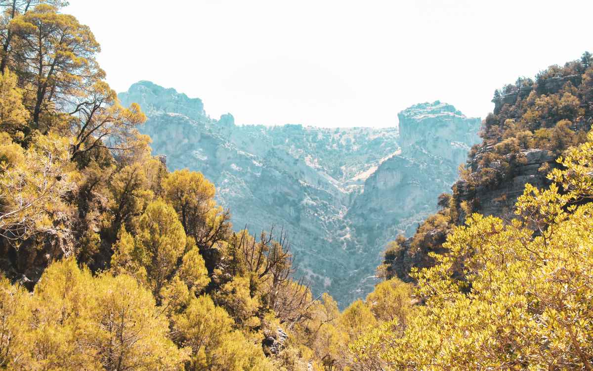 Parque natural de las Sierras de Cazorla, Segura y Las Villas.